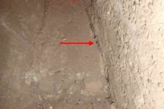 c11